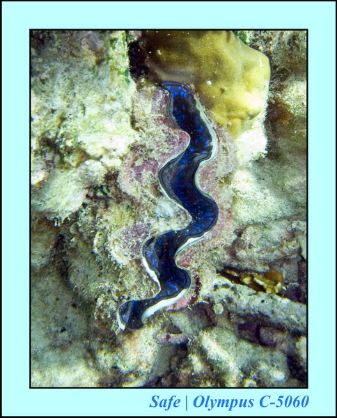 2008 - 07 - Leng Tengah - 065